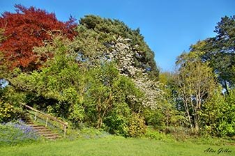 Photo by Alice Gilkes