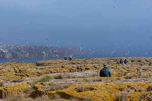 Photo by Haley Renshaw