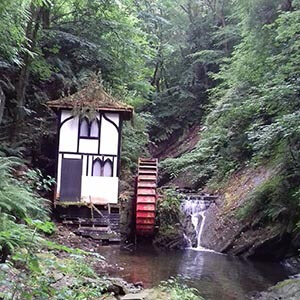 Photo by Judy Nathan