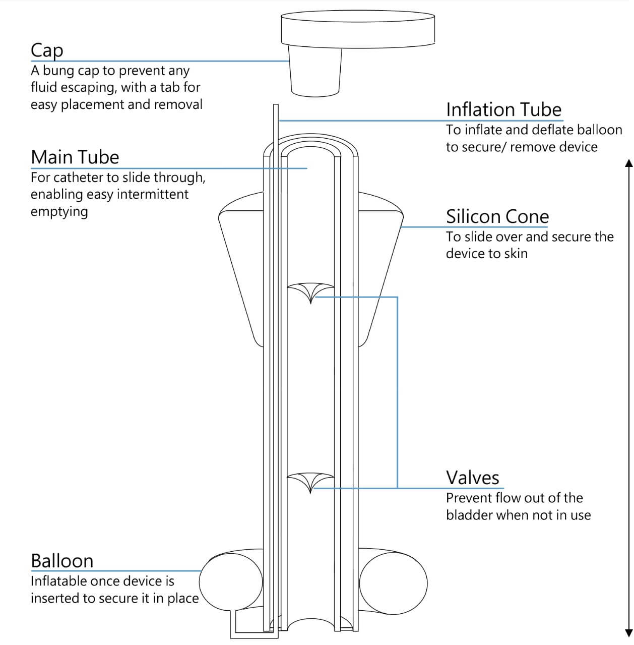 Beth Cutting figure 1