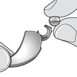 Gregory Travis Figure 1